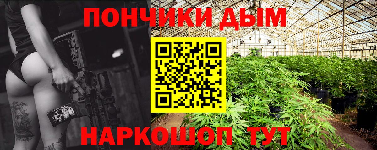 Канабис Ganja Сосновый Бор